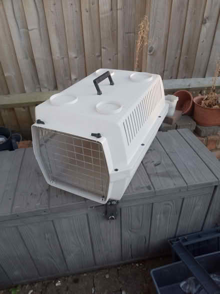 Photo of free A large cat carrier (Wellingborough NN8) #1