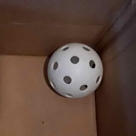 Photo of free pickleball (Ballard) #1