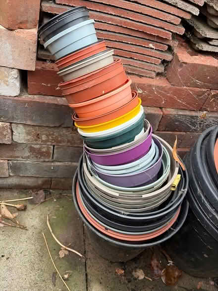 Photo of free Plant post of various sizes (ashford TW15) #1