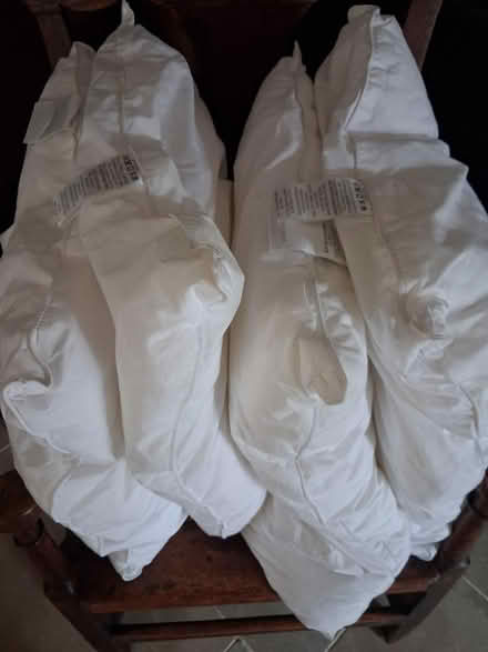 Photo of free Pillows (Wimborne,Colehill) #1