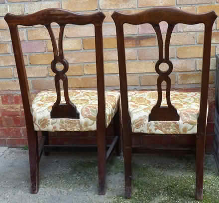 Photo of free Country Chippendale dining chairs (North Lowestoft NR32) #2