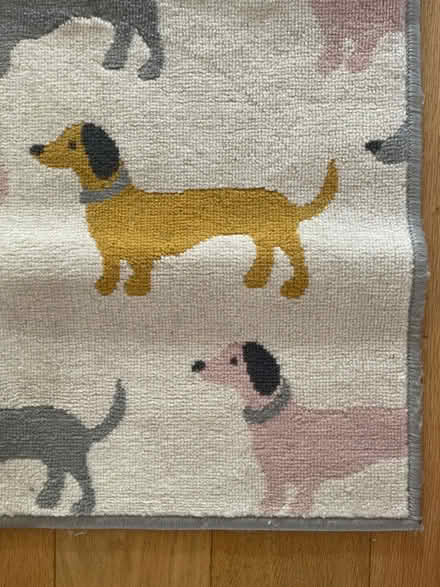 Photo of free Dachshund rug (North Road BA2) #2