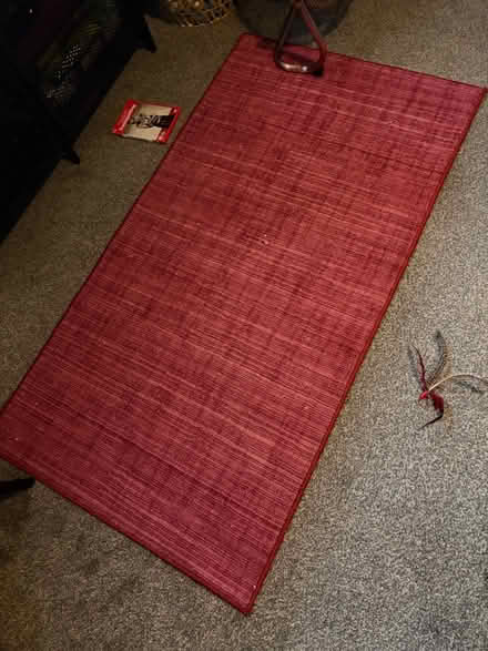 Photo of free Dunelm red rug (B68) #1