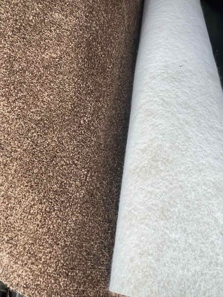 Photo of free Brown Carpet new (High Heaton NE7) #1