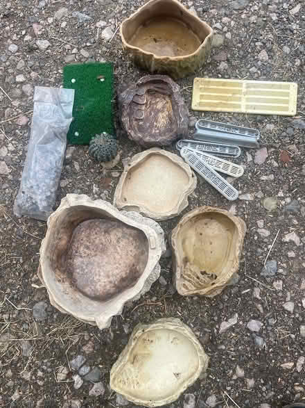 Photo of free Reptile bits (Blackawton) #1