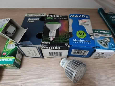 Photo of free Various, lightbulbs, Christmas lights, firelighters (Presteigne LD8) #1