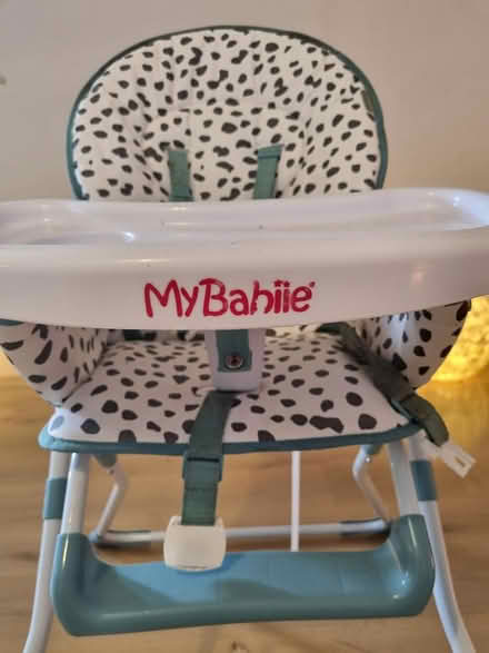 Photo of free High chair (West Pennard BA6) #2