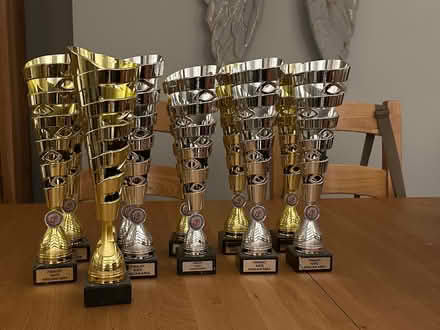 Photo of free Trophies x 11 (Farnborough GU14) #1