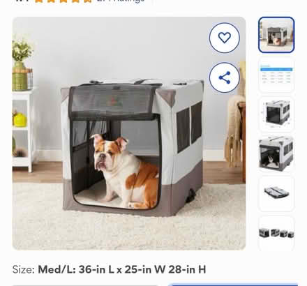 Photo of free Canine camper (Cambridge Ma) #2