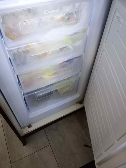 Photo of free Washing machine fridge freezer (Brynhyfryd SA5) #2