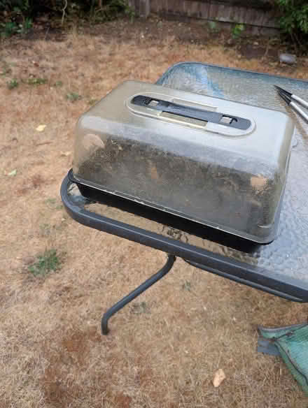 Photo of free Propagator (Cawston CV22) #1