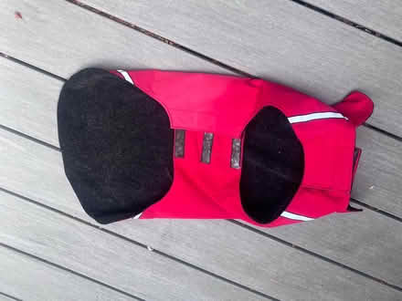 Photo of free XL dog jacket (Meadowbrook, North Seattle) #2