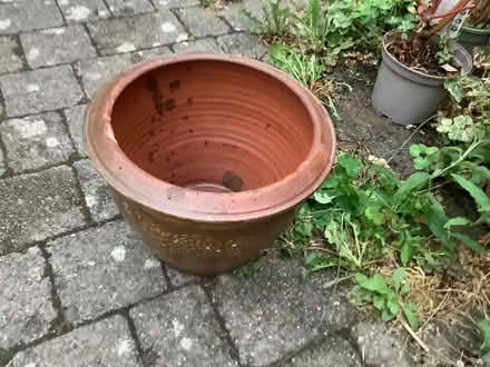 Photo of free Garden terracotta plant pot (Stanwell Village TW19) #2