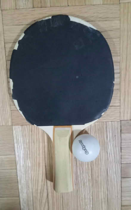 Photo of free One ping-pong paddle + ball (Etobicoke (Kipling /Eglinton)) #2