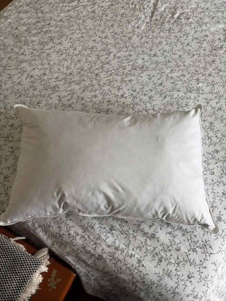 Photo of free Feather pillow (NW3 2DT) #1