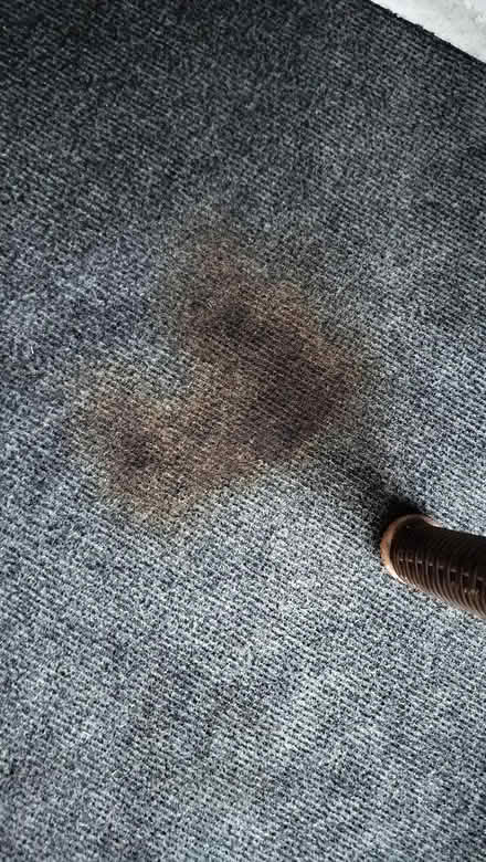 Photo of free gray indoor outdoor carpet (Highland Park) #2