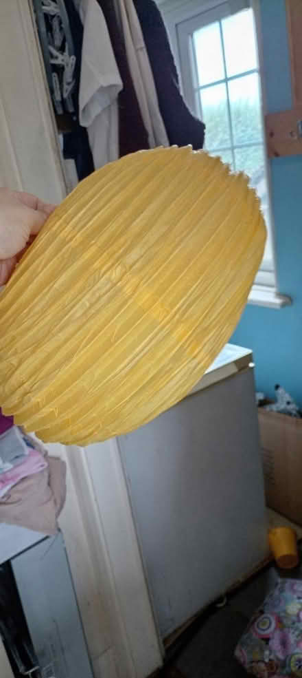 Photo of free Paper yellow and white decorations (Tudeley TN11) #2