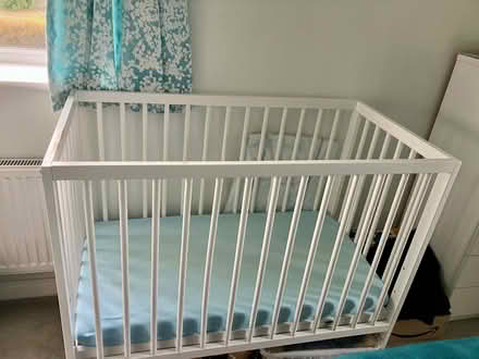 Photo of free Compact Cot Bed (Glebe Green CW7) #3
