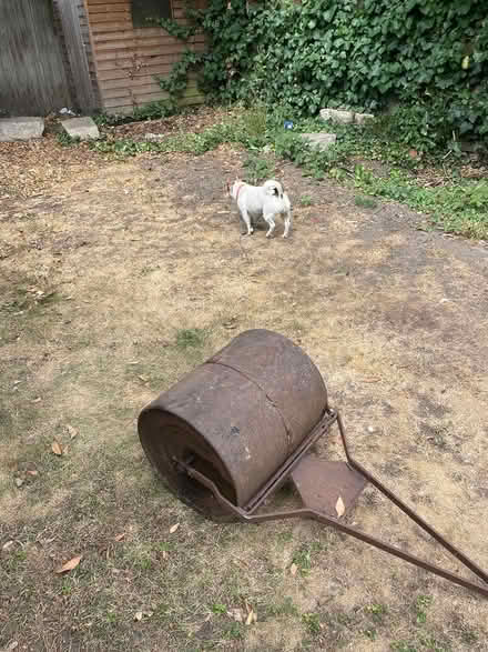 Photo of free Roller (sw6) #1
