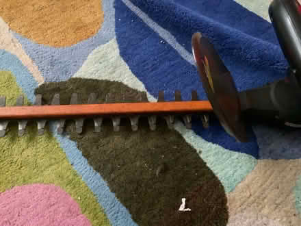 Photo of free Hedge trimmer (Rakegate Estate WV10) #3