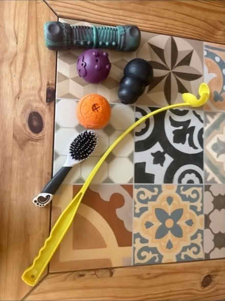 Photo of free Dog treat dispensers and squeaky rubber toy and ball launc (Knaphill GU21) #1