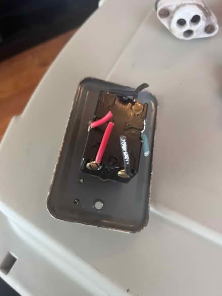 Photo of free Electric Fossils (Winter Hill) #3