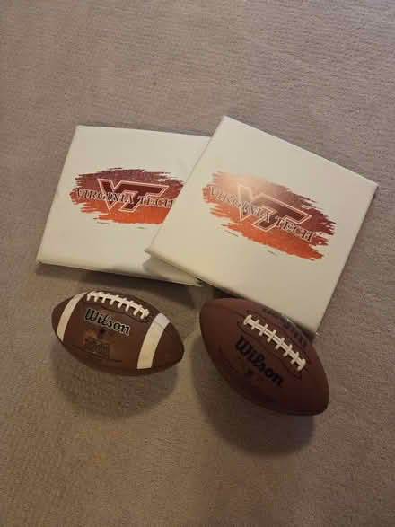 Photo of free 2 Footballs and seat cushions (McLean, Chesterbrook Woods) #1