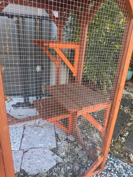 Photo of free Catio (Berkeley) #2