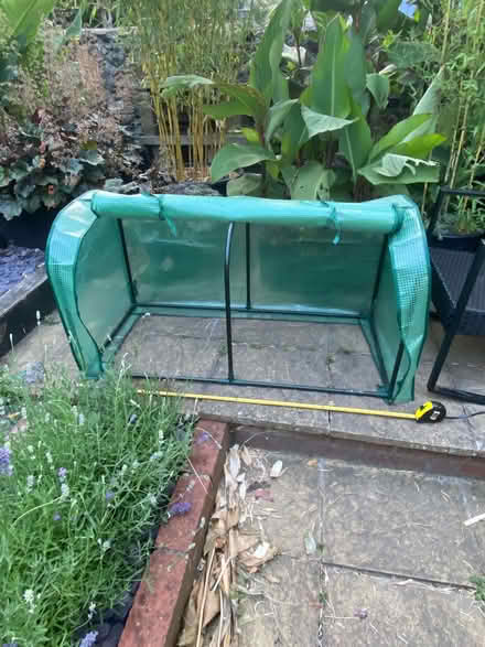 Photo of free Mini greenhouse (Preston Park area BN1) #2