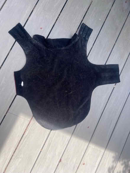 Photo of free XL dog jacket (Meadowbrook, North Seattle) #4