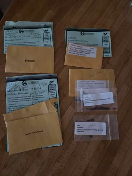 Photo of free Vegetable seeds (palm harbor CR 1 Tpa Road) #1