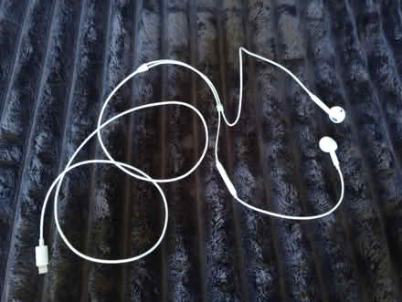 Photo of free Apple Earbuds (Kingsway BA2) #1