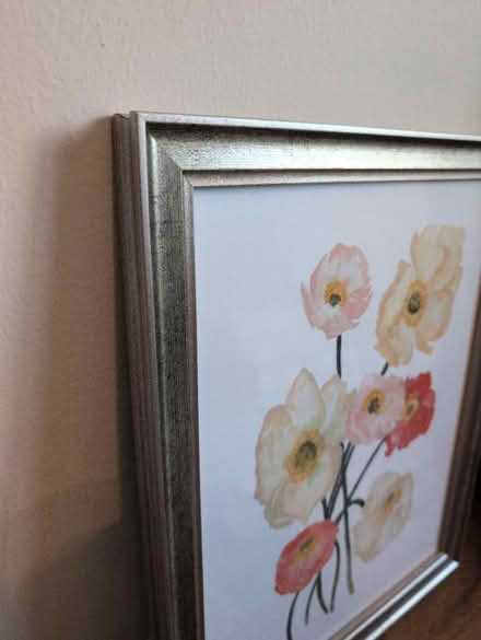 Photo of free Framed floral print (El Cerrito) #4