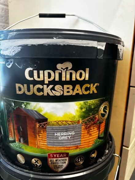Photo of free Paint (outdoor) (Templepatrick BT39) #1