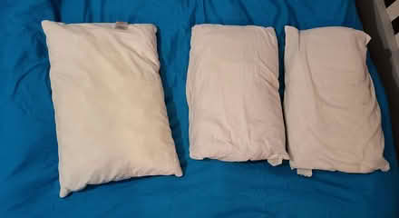 Photo of free Standard pillows (Bromley BR2) #2