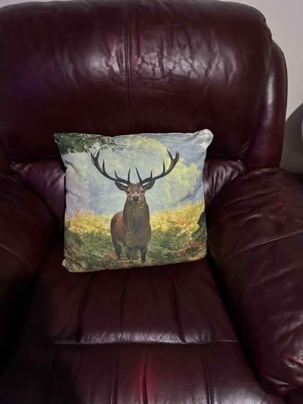 Photo of Leather chair (Newport pagnell MK16) #1