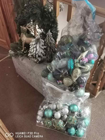 Photo of free Xmass Tree Stand & Dec's (Gt. Sankey, Warrington) #2