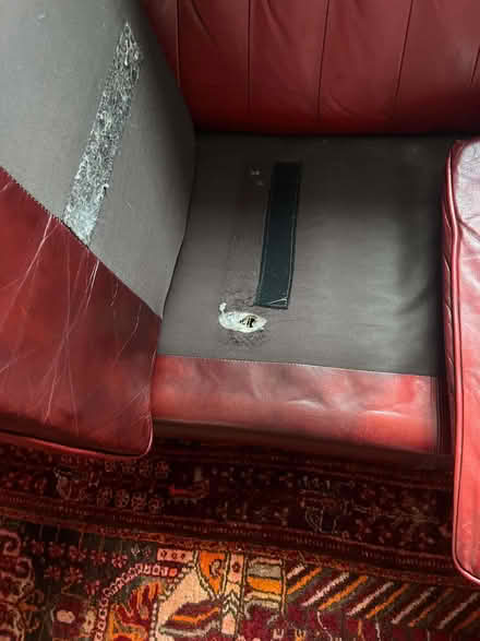 Photo of free Leather Sofa (Leedstown TR27) #3