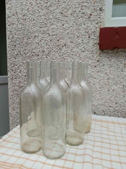Photo of free Clean Glass Wine Bottles (Kirkbride CA7) #1