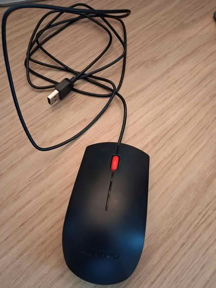 Photo of free Computer Mouse (L14, Knotty Ash) #1