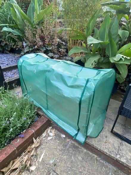 Photo of free Mini greenhouse (Preston Park area BN1) #4