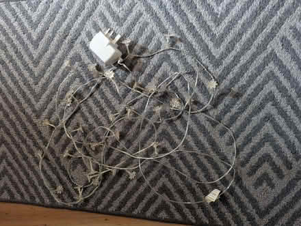 Photo of free White flower plug in lights (Caversham RG4) #2