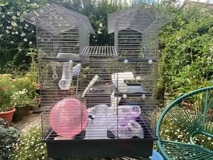 Photo of free Hamster Cage (Woodford PL7) #1