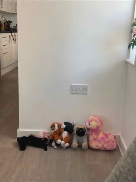 Photo of free Stuffed animal toys (Greenford UB1) #1