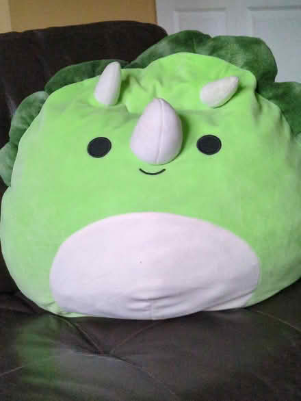 Photo of free Squishmallo like new (Leonardo/Middletown) #1