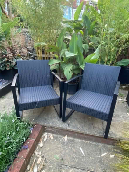 Photo of free Pair of garden rocking chairs with cushions (Preston Park area BN1) #1