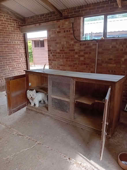 Photo of free Rabbit Hutch? (Crowborough TN6) #1