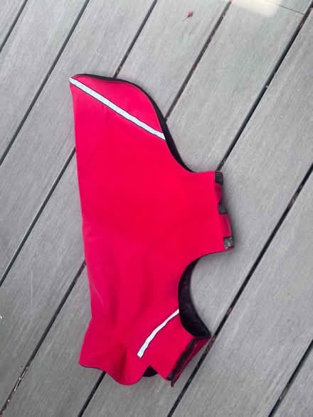 Photo of free XL dog jacket (Meadowbrook, North Seattle) #1