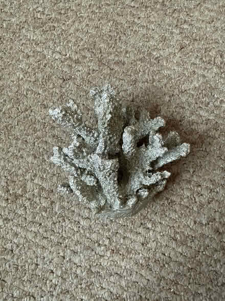 Photo of free Coral bathroom ornament (Earls Colne CO6) #1