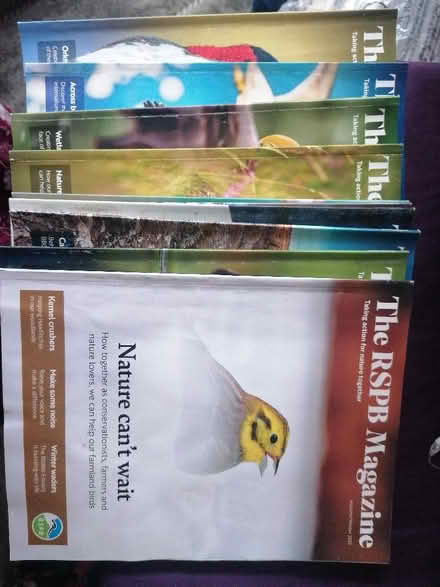 Photo of free 10 x RSPB Magazines (Presteigne LD8) #1